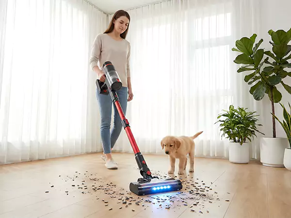 Erleben Sie eine neue Erfahrung effizienter Reinigung, ein leistungsstarkes Reinigungsgerät, das für moderne Häuser geeignet ist